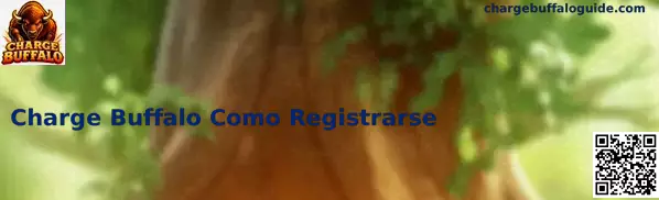 Registro Seguro en Charge Buffalo
