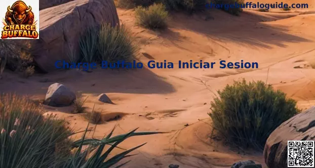 Guía de Inicio de Sesión Seguro en Charge Buffalo