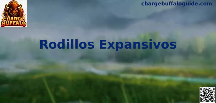 Rodillos Expansivos Profesionales e Innovación Mecánica en México