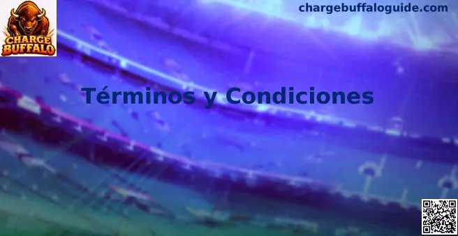 Guía de términos y condiciones de Charge Buffalo para usuarios en México